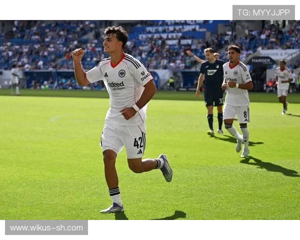 从草根到德甲劲旅霍芬海姆1899俱乐部的崛起与现代足球奇迹