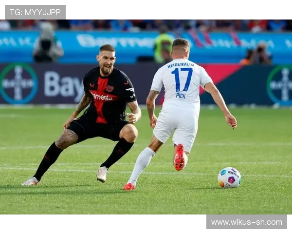 海登海姆崛起之路探秘从小城球队到德甲赛场的励志传奇